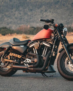 HARLEY DAVIDSON 48 ปี2010